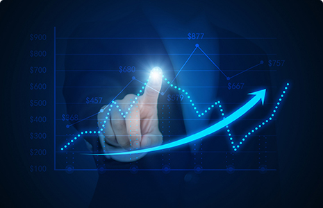 完善制度，规范流程，严格履行信息披露义务