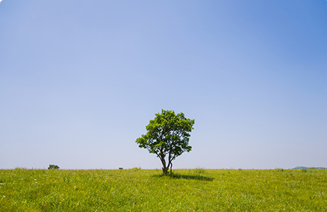 完善制度，规范流程，严格履行信息披露义务