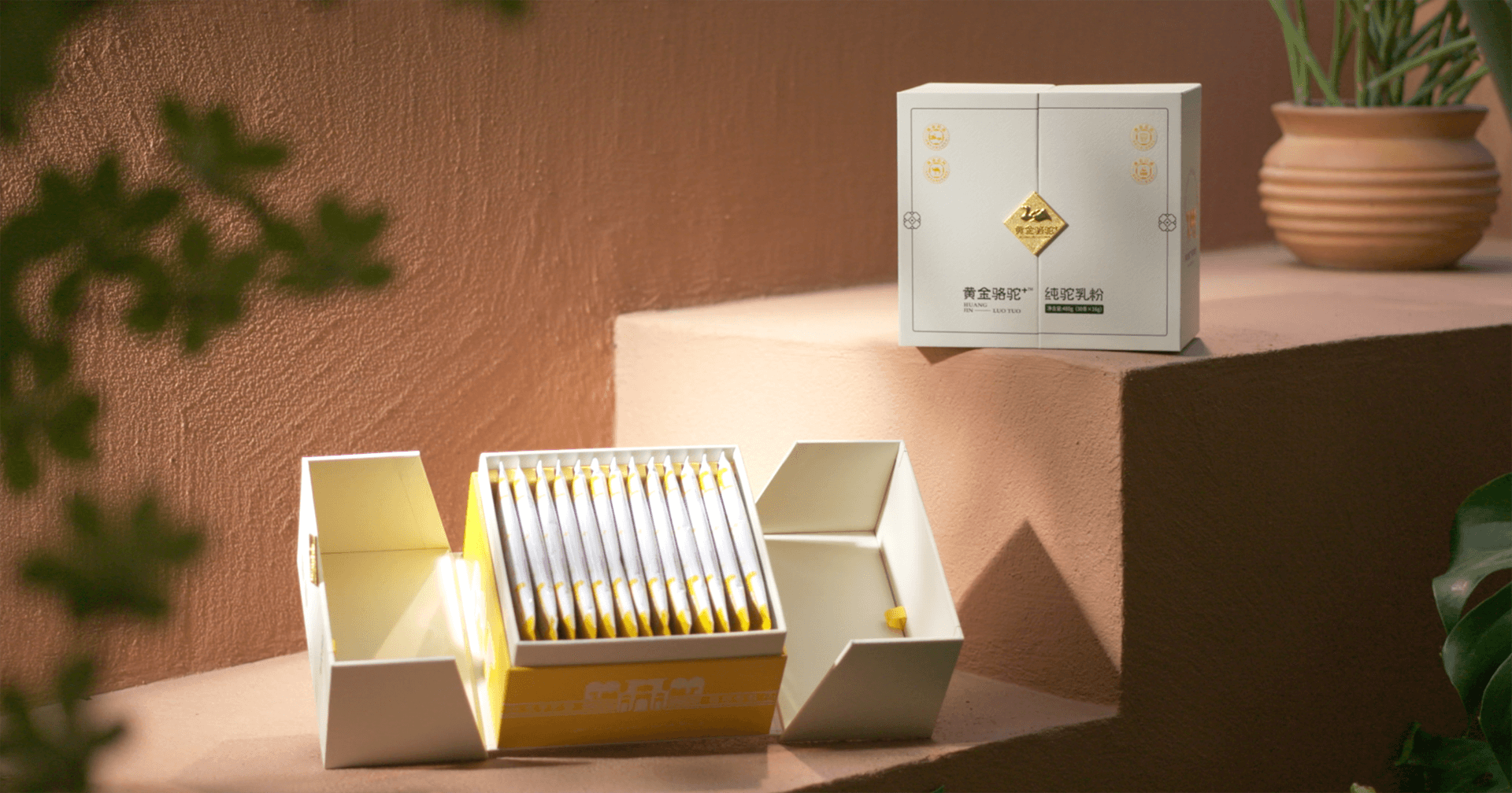 定位小众高端乳粉，jinnianhui今年会推出驼奶品牌“黄金骆驼+”，角逐乳品新市场！